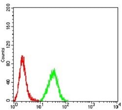 MUC5AC Antibody (7E9D8) - BSA Free, Novus Biologicals 0.1 ml; Unconjugated:Antibodies,