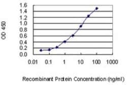 Musculin Antibody (4D7), Novus Biologicals 0.1 mg | Buy Online | Novus Biologicals | Fisher Scientific