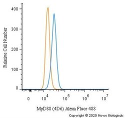 MyD88 Antibody (4D6) - Azide and BSA Free, Novus Biologicals 0.1 mg; Unconjugated:Antibodies,