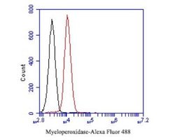 Myeloperoxidase/MPO Mouse anti-Human, Clone: A1F2, Novus Biologicals 100