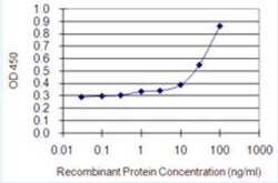 Myosin 1E Antibody (7A5), Novus Biologicals 100 &mu;g | Buy Online | Novus Biologicals | Fisher Scientific