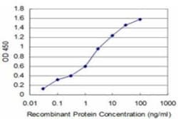 N myc interactor Antibody (9E8), Novus Biologicals 0.1 mg; Unconjugated:Anticorps,