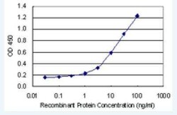NDNL2 Antibody (4F7), Novus Biologicals 100 &mu;g | Buy Online | Novus Biologicals | Fisher Scientific