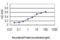 NDUFB3 Antibody (6C6), Novus Biologicals 0.1 mg | Buy Online | Novus Biologicals | Fisher Scientific