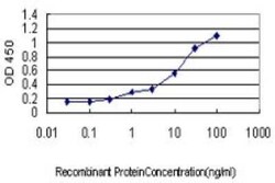 APPBP1 Antibody (4E8-H3), Novus Biologicals 0.1 mg | Buy Online | Novus Biologicals | Fisher Scientific