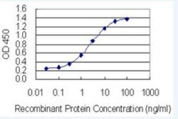 NEU-1/Sialidase-1 Antibody (3F9), Novus Biologicals 100 &mu;g | Buy Online | Novus Biologicals | Fisher Scientific