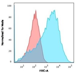 NF-H Antibody (NEFL.H/2324R) - Azide and BSA Free, Novus Biologicals 100 &mu;g | Buy Online | Novus Biologicals | Fisher Scientific