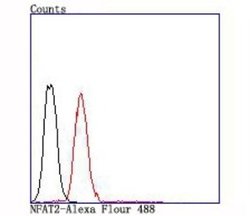 NFATC1/NFAT2 Rabbit anti-Human, Clone: JA81-03, Novus Biologicals 100 &mu;L | Buy Online | Novus Biologicals | Fisher Scientific