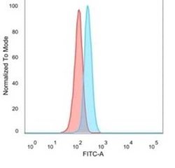 NFIA Mouse anti-Human, Mouse, Rat, Clone: PCRP-NFIA-2C6, Novus Biologicals:Antibodies:Primary