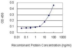 NFYC Antibody (1D3), Novus Biologicals 50 &mu;g | Buy Online | Novus Biologicals | Fisher Scientific
