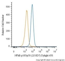 NFkB p105/p50 Antibody (2J10D7) - Azide and BSA Free, Novus Biologicals