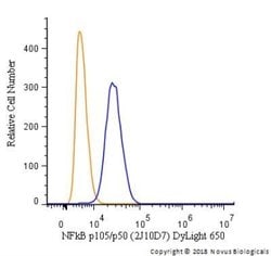 NFkB p105/p50 Antibody (2J10D7) - Azide and BSA Free, Novus Biologicals