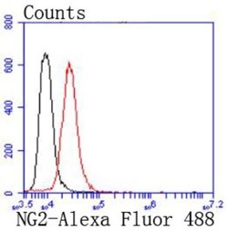 NG2/MCSP Antibody (JM10-13), Novus Biologicals 100&mu;L:Antibodies, Monoclonal