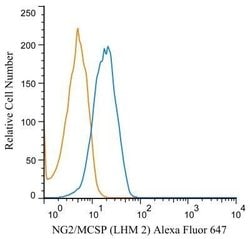 NG2/MCSP Antibody (LHM 2) - Azide and BSA Free, Novus Biologicals 0.1 mL;