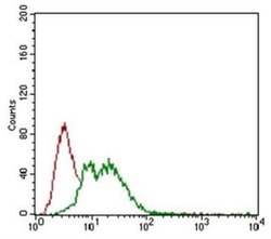 NG2/MCSP Antibody (LHM 2) - Azide and BSA Free, Novus Biologicals 0.1 mL;