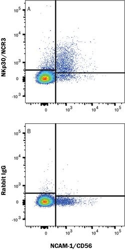 Human NKp30/NCR3 Antibody, R D Systems 100 &mu;g; Unconjugated:Antibodies,