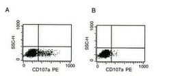 NKp46/NCR1 Mouse anti-Human, Clone: B-L46, Novus Biologicals:Antibodies:Primary