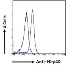 NLRP10/Pynod/NALP10 Antibody, Novus Biologicals 0.1 mg | Buy Online | Novus Biologicals | Fisher Scientific