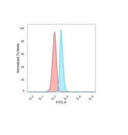 NOC4L Antibody (PCRP-NOC4L-1E3) - Azide and BSA Free, Novus Biologicals 100 &mu;g | Buy Online | Novus Biologicals | Fisher Scientific