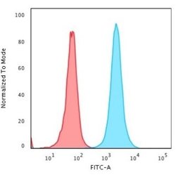NPM1 Antibody (rNPM1/1901) - Azide and BSA Free, Novus Biologicals 100 &mu;g | Buy Online | Novus Biologicals | Fisher Scientific