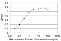 NRAMP1/SLC11A1 Antibody (2G2), Novus Biologicals 0.1 mg | Buy Online | Novus Biologicals | Fisher Scientific
