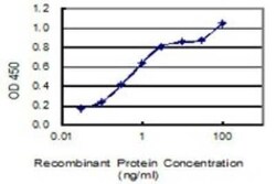 NRBP1 Antibody (4D2), Novus Biologicals 0.1 mg | Buy Online | Novus Biologicals | Fisher Scientific