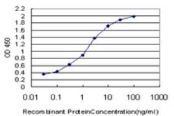 NRBP2 Antibody (4D1), Novus Biologicals 0.1 mg; Unconjugated:Antibodies,