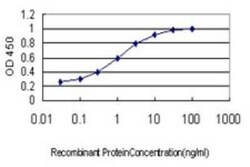 NRIF3 Antibody (3F6), Novus Biologicals 0.1 mg | Buy Online | Novus Biologicals | Fisher Scientific
