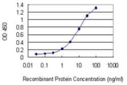 NRXN1 Antibody (4F7), Novus Biologicals™