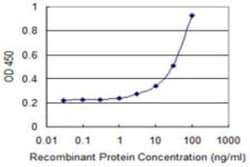 NT-4 Antibody (1G12), Novus Biologicals 0.1 mg | Buy Online | Novus Biologicals | Fisher Scientific