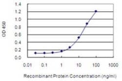 NUCKS1 Antibody (3G10), Novus Biologicals 0.1 mg | Buy Online | Novus Biologicals | Fisher Scientific