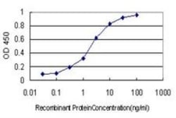 NUDC Antibody (5G12), Novus Biologicals 0.1 mg | Buy Online | Novus Biologicals | Fisher Scientific