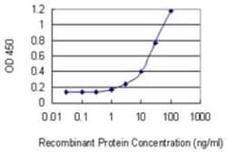 NUP50 Antibody (4H7), Novus Biologicals 0.1 mg | Buy Online | Novus Biologicals | Fisher Scientific