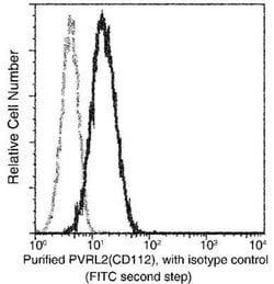 Nectin-2/CD112 Rabbit anti-Human, Clone: 5, Novus Biologicals:Antibodies:Primary