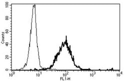 Neprilysin/CD10 Mouse anti-Human, Clone: B-E3, Novus Biologicals 500 &mu;g | Buy Online | Bio-Techne | Fisher Scientific