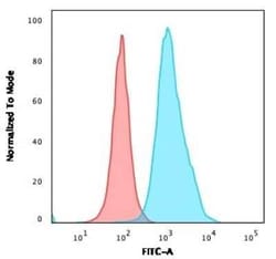 Neprilysin/CD10 Antibody (FR4D11), Novus Biologicals:Antibodies:Primary