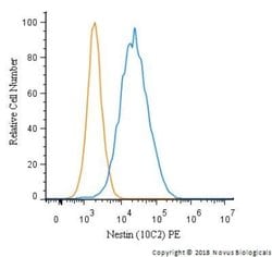 Nestin Antibody (10C2) - Azide and BSA Free, Novus Biologicals 0.1 mL;
