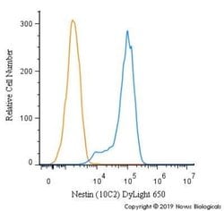 Nestin Antibody (10C2) - Azide and BSA Free, Novus Biologicals 0.1 mL;