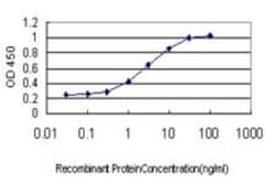 Neuregulin-2 Antibody (3D2), Novus Biologicals 0.1 mg | Buy Online | Novus Biologicals | Fisher Scientific