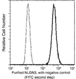 Neuroligin 3/NLGN3 Rabbit anti-Human, Clone: 242, Novus Biologicals:Antibodies:Primary