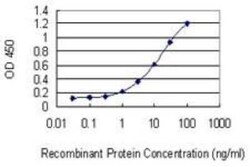 Neuronal Pentraxin 1 Antibody (7E6), Novus Biologicals 0.1 mg | Buy Online | Novus Biologicals | Fisher Scientific
