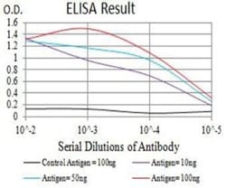 Neutrophil Elastase/ELA2 Antibody (6B6G6) - BSA Free, Novus Biologicals