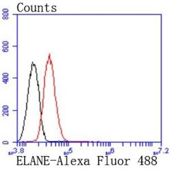 Neutrophil Elastase/ELA2 Rabbit anti-Human, Mouse, Clone: JF098-6, Novus