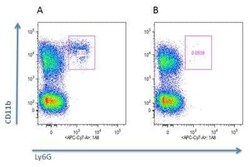 Neutrophils Antibody (Nimp-R14) - Azide and BSA Free, Novus Biologicals