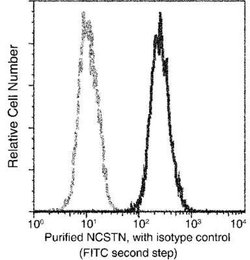 Nicastrin Rabbit anti-Human, Clone: 2, Novus Biologicals 100 &mu;g; Unconjugated:Antibodies,