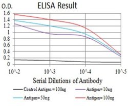 Nicotinic Acetylcholine R alpha 10/CHRNA10 Antibody (4E2D1) - BSA Free,