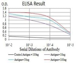 Nicotinic Acetylcholine R alpha 3/CHRNA3 Antibody (6D3A10) - BSA Free,