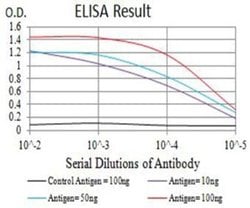 Nicotinic Acetylcholine R alpha 5/CHRNA5 Antibody (2D2D10) - BSA Free,