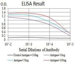 Nicotinic Acetylcholine R alpha 5/CHRNA5 Antibody (8F11G8) - BSA Free,