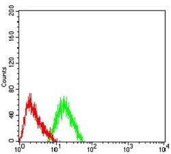 Nicotinic Acetylcholine R alpha 7/CHRNA7 Antibody (7F10G1) - BSA Free,